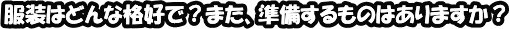 服装はどんな格好